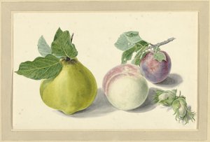 Ett päron, persika, plommon och nötter av Elisabeth Geertruida van de Kasteele
