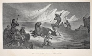 Walrus Hunt off Pikantlik, illustration från "The second Grinnell Expedition in Search of Sir John Franklin...", 1856