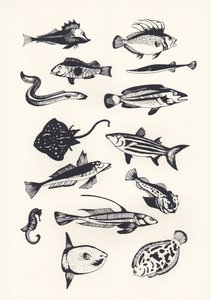Monotone Plain Fish, 2015 (screenprint)