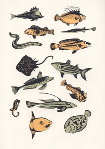 Plain Fish, 2015 (screenprint) av Eliza Southwood