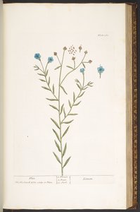 Tallrik 160, från 