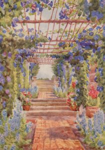 Pergola täckt med blå Ipomoea Learii de Grendel, Tygerberg (färglitografi)