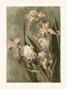  av Elizabeth F. Parker