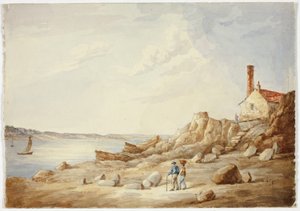 Rocky Shore av Elizabeth Murray