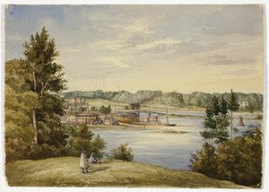 Utsikt från Sydney av Elizabeth Murray