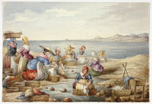 Tvättare i Nice