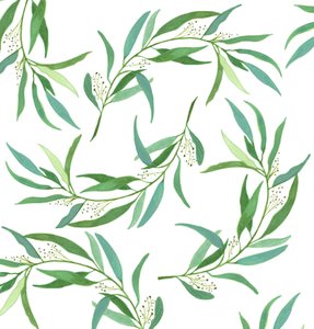Eucalyptus Leaves, 2018 (akvarell och akryl) av Elizabeth Rider
