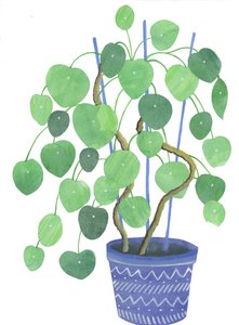 Pilea växt, 2017 (akvarell och collage)