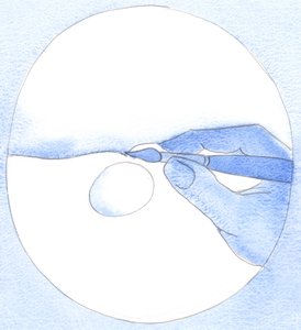Med en beröring av en konstnärs borste fyller pigment en vattenpöl. Genom vår "störning" av ångerfull bön "drar" vi Guds nåd inom oss, 2002 (w/c på papper) av Elizabeth Wang