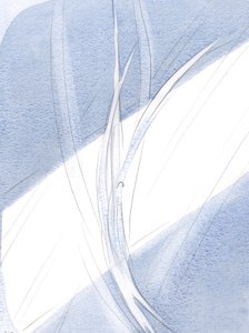 I kvällsljuset ekade varje varelse, svävande på sin rättmätiga plats, och i underbara rörelser, änglarnas ståtliga dans i himlen, 2000 (w/c på papper) av Elizabeth Wang