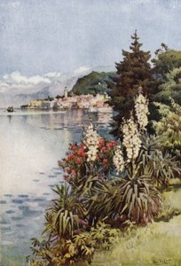 En grupp yucca, Villa Melzi, Comosjön (färg litho)