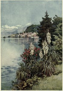 A Group of Yuccas, Villa Melzi, Lago di Como, Illustration från "The Italian Lakes" av Richard Bagot av Ella Du Cane