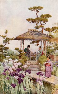 An Iris Garden (färg litho) av Ella Du Cane