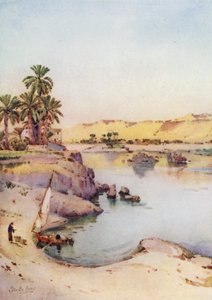 Islands of the First Cataract (färg litho) av Ella Du Cane