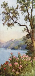 Lake Lecco, Comosjön (färg litho) av Ella Du Cane