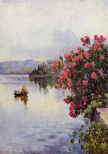 Oleander (färg litho)