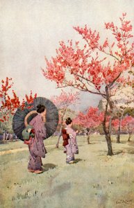 Peach Blossom (färg litho) av Ella Du Cane