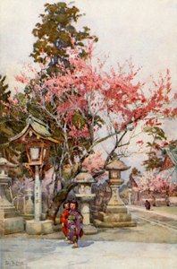 Plommonblommor och lyktor (färg litho) av Ella Du Cane