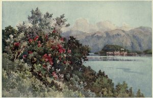 Rosor, Villa Carlotta, Lago di Como, Illustration från "De italienska sjöarna" av Richard Bagot