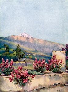 The Peak, från Villa Orotava (färg litho) av Ella Du Cane
