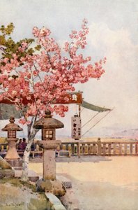 The Pink Cherry (färg litho) av Ella Du Cane