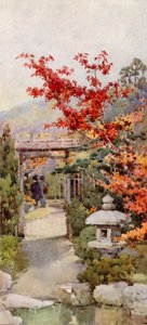 The Scarlet Maple (färg litho) av Ella Du Cane