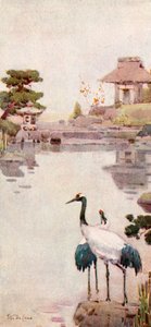 Storkarna (färg litho) av Ella Du Cane