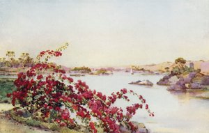 Utsikt från Sirdar