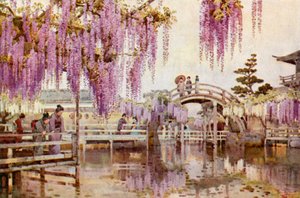 Wistaria, Kameido (färg litho) av Ella Du Cane