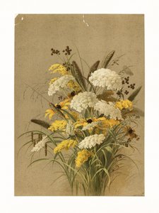 Hemlock, prästkrage och gulsporre