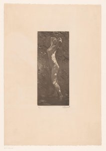 Naken kvinna i solljuset av Ellinnot (signed by artist)