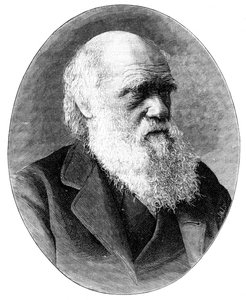 Charles Darwin, engelsk naturforskare från 1800-talet, 1900.