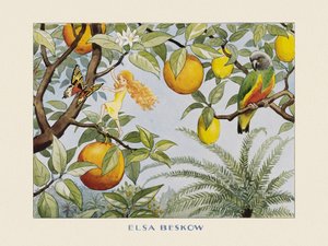 Solägget  Sollandet av Elsa Beskow
