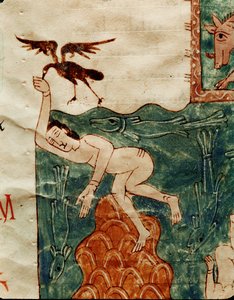 Korpen petar i en död kropp av Emeterio the Monk