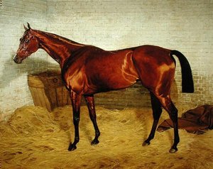 "Lonely", vinnare av 1885 års Derby