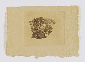 Trädstudie (fm. portfölj) av Emil Carlsen