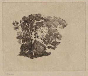 Trädstudie av Emil Carlsen