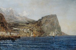 Kustlandskap i Dalmatien av Emil Jakob Schindler