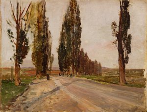 Poplar avenue nära Plankenberg