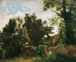 Slottsmuren i Plankenberg av Emil Jakob Schindler