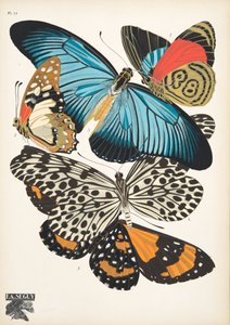 Tallrik 11, från Butterflies, pub. 1925 (stenciltryck)