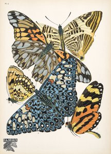Tallrik 3, från Butterflies, pub. 1925 (stenciltryck) av Émile Allain Séguy