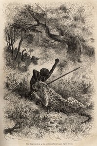 En leopard hoppar på en man och biter honom grymt i ryggen, i närheten av Bambare (Kongo), graverar efter en teckning av Emile Bayard, som illustrerar David Livingstones sista dagbok (1813-1873), 1866-1873, publicerad i " ”Le tour du monde”” 1875, red av Emile Antoine Bayard