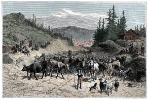 Alperna: jodel eller avgående hjordar (kor, getter) mot betesmarkerna. Illustration av Emile Bayard för boken Les Montagnes d