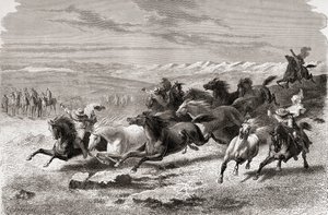 Argentinska gauchos som samlar vilda hästar, illustration från 