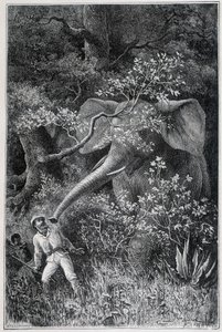 Livingstone överraskad av en elefant i "Le Tour du Monde" av Emile Antoine Bayard
