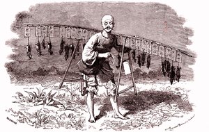 Råttmördare i Kina. 1874 (gravyr) av Emile Antoine Bayard