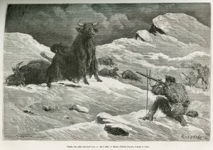 Scen för vild jakjakt, teckning av Emile Bayard för att illustrera resan till Mongoliet och Tangouternas land från 1870 till 1873, av överstelöjtnant Przewalski. Gravyr i Le tour du monde av Emile Antoine Bayard