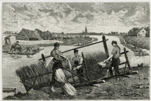 Rosten av lin (maceration för att underlätta separationen av barken från stammen) i Lys (floden norr om Frankrike och Belgien). Gravyr av Emile Claus, för att illustrera historien "" La Belgique"", av Camille Lemonnier (1844) -1913), författare och konstkr av Emile Claus