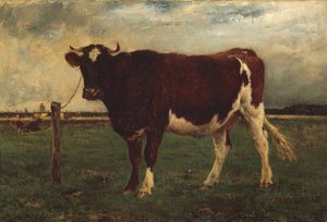 Studie av en ko, 1870?90